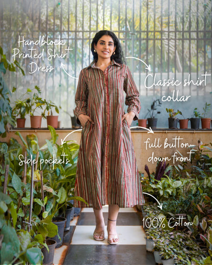 Ziva HandBlock Printed Shirt Dress