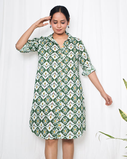 Denise Shirt Dress